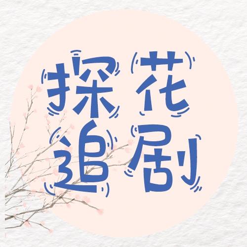 探花追剧