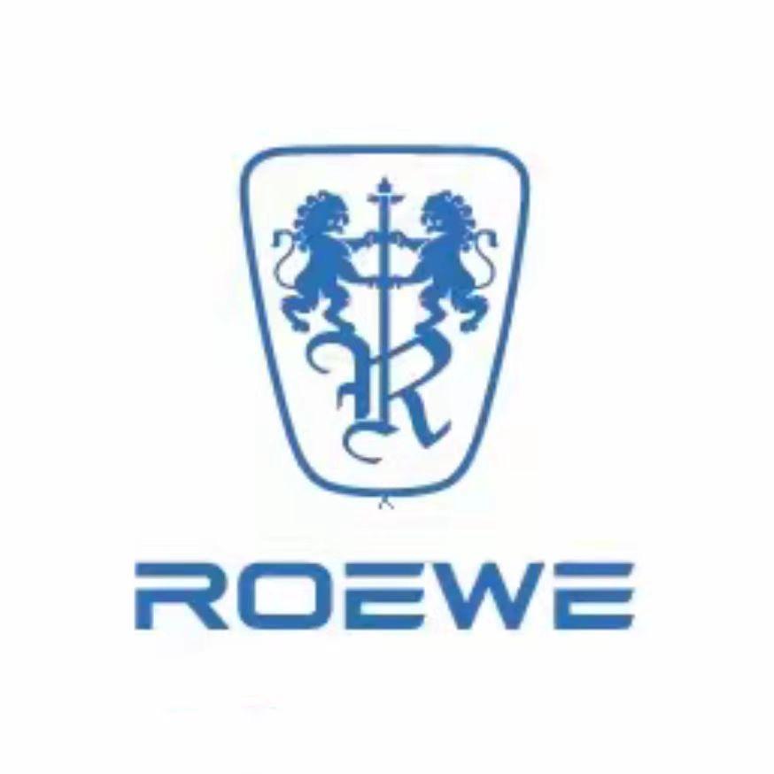 荣威新能源-肇庆端州体验店（D系列）