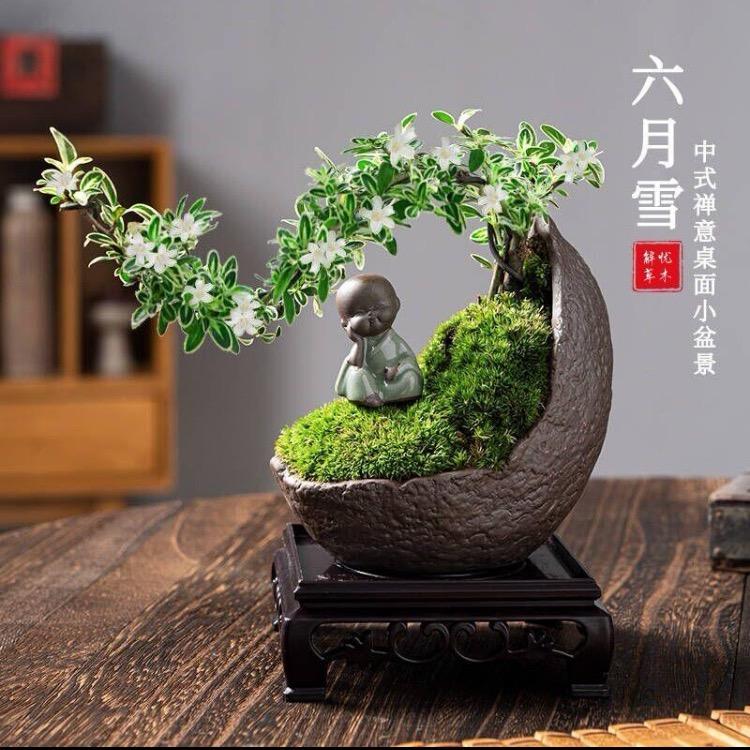 欣儿爱生活