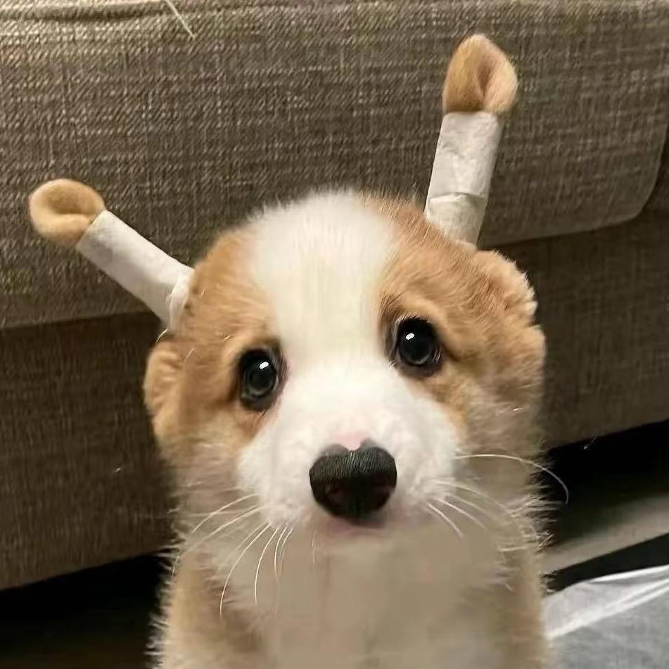 牛牛真甜