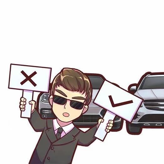 重生之我在株洲干二手车