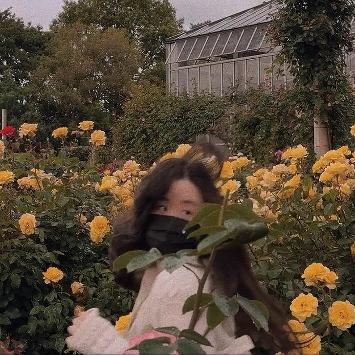 𝘿𝙞𝙖𝙣𝙖𝙉𝙓🧚‍♀️