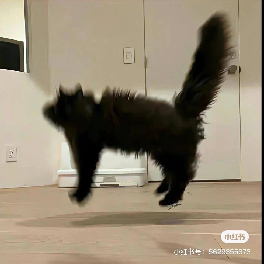 彤妹儿