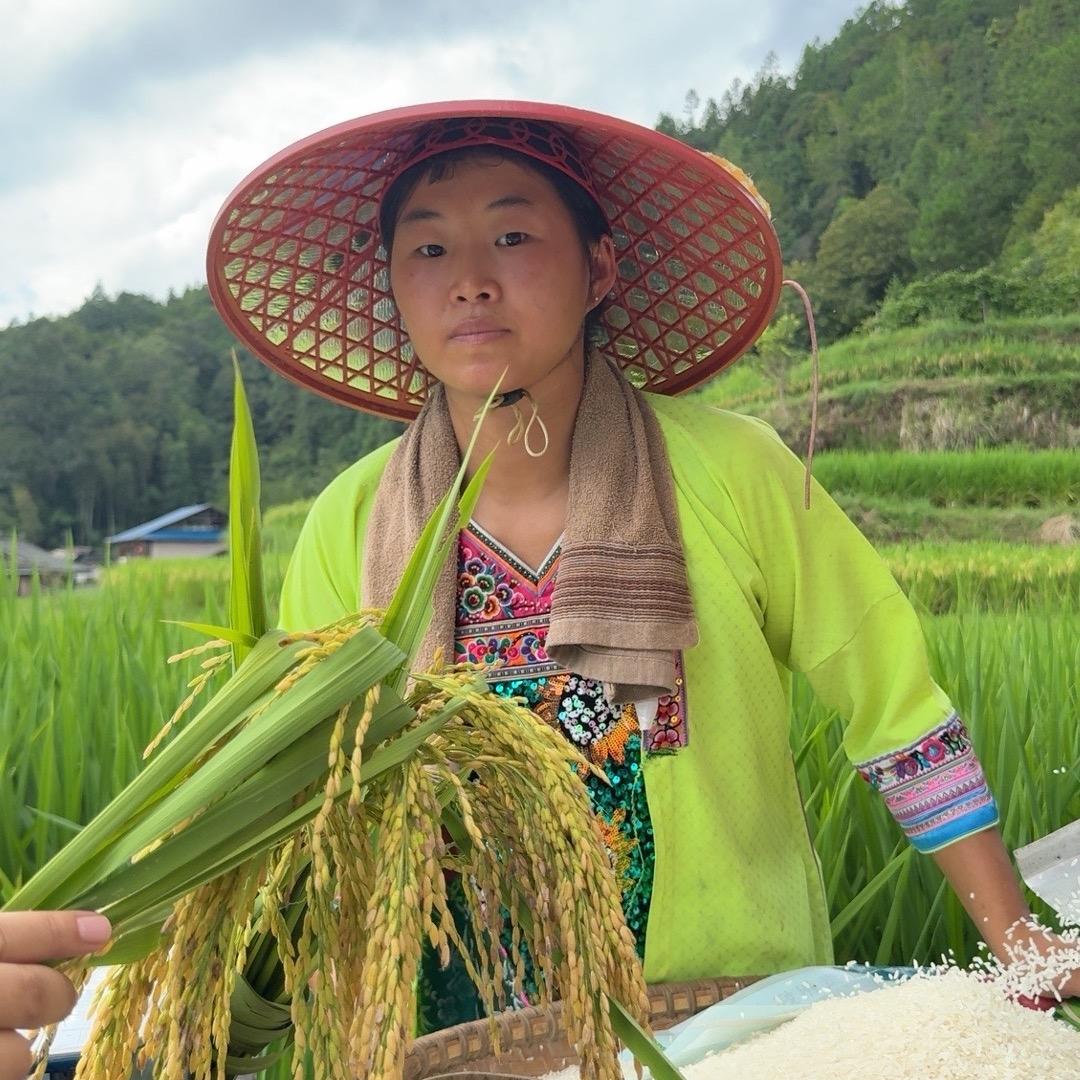 走南闯北