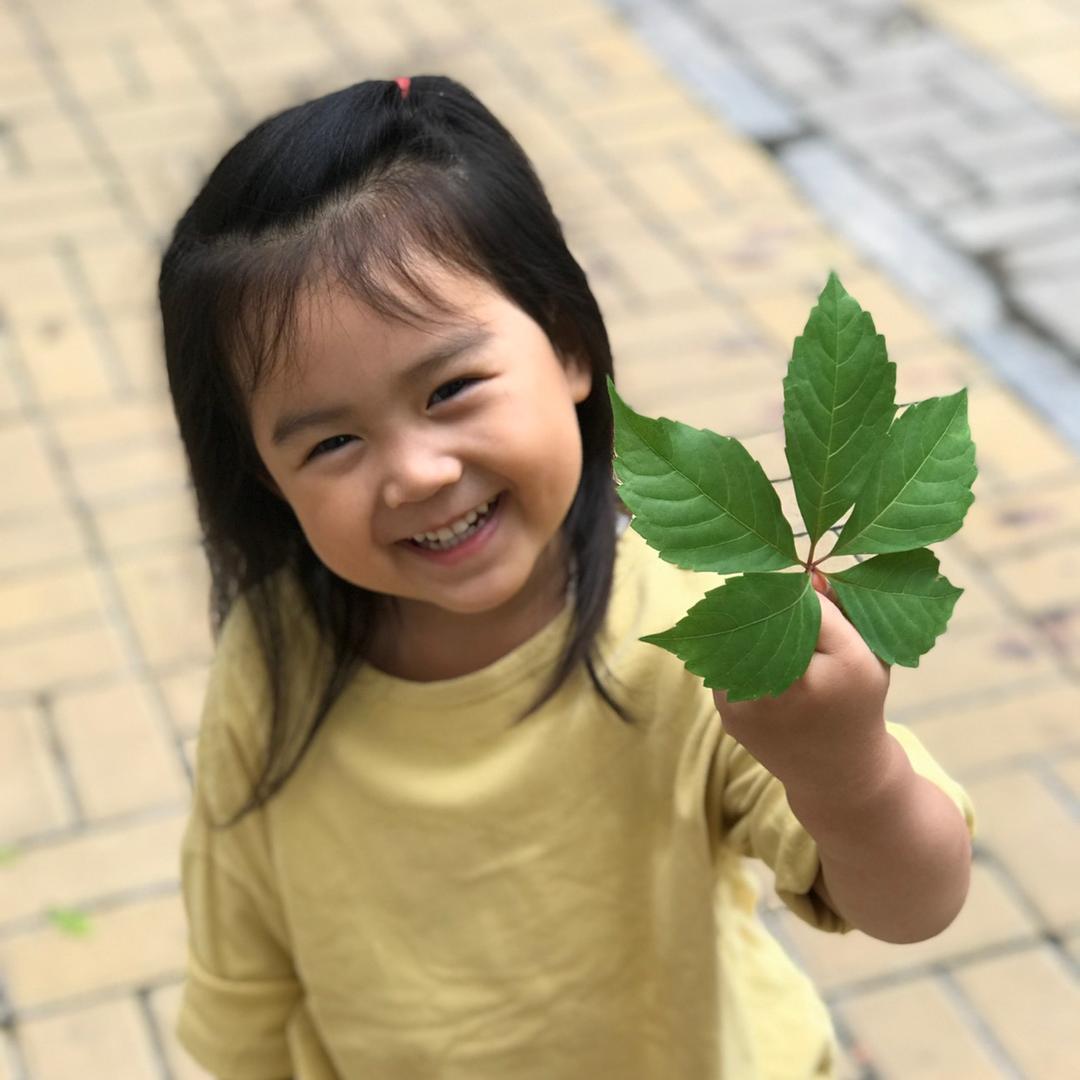 暖阳🍬