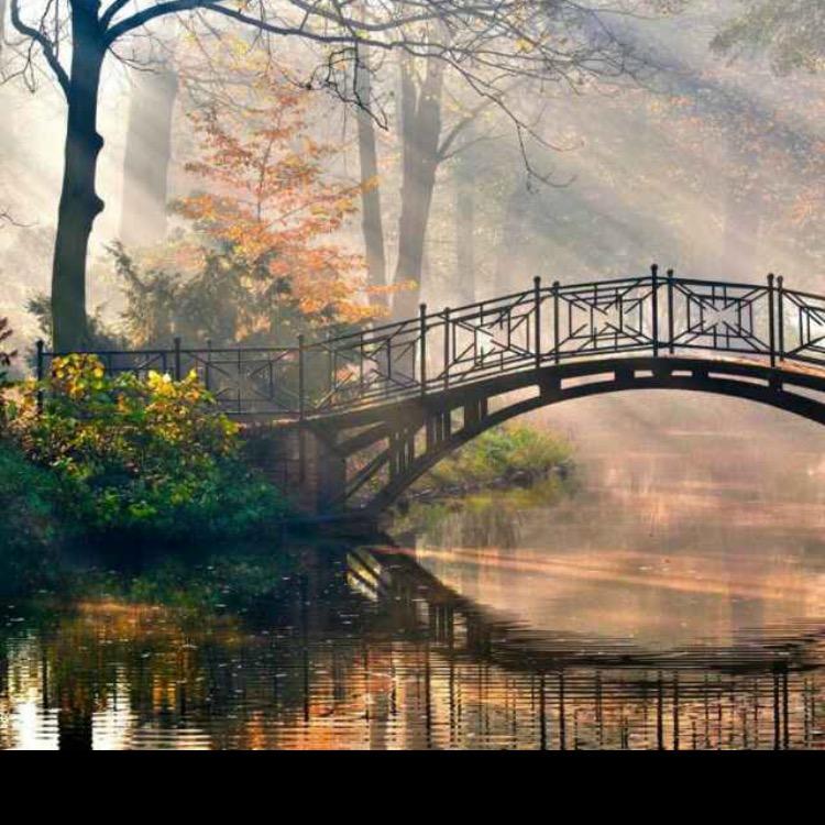 星期8⃣️9⃣️