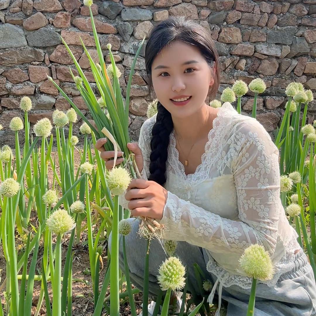 七妹在东北