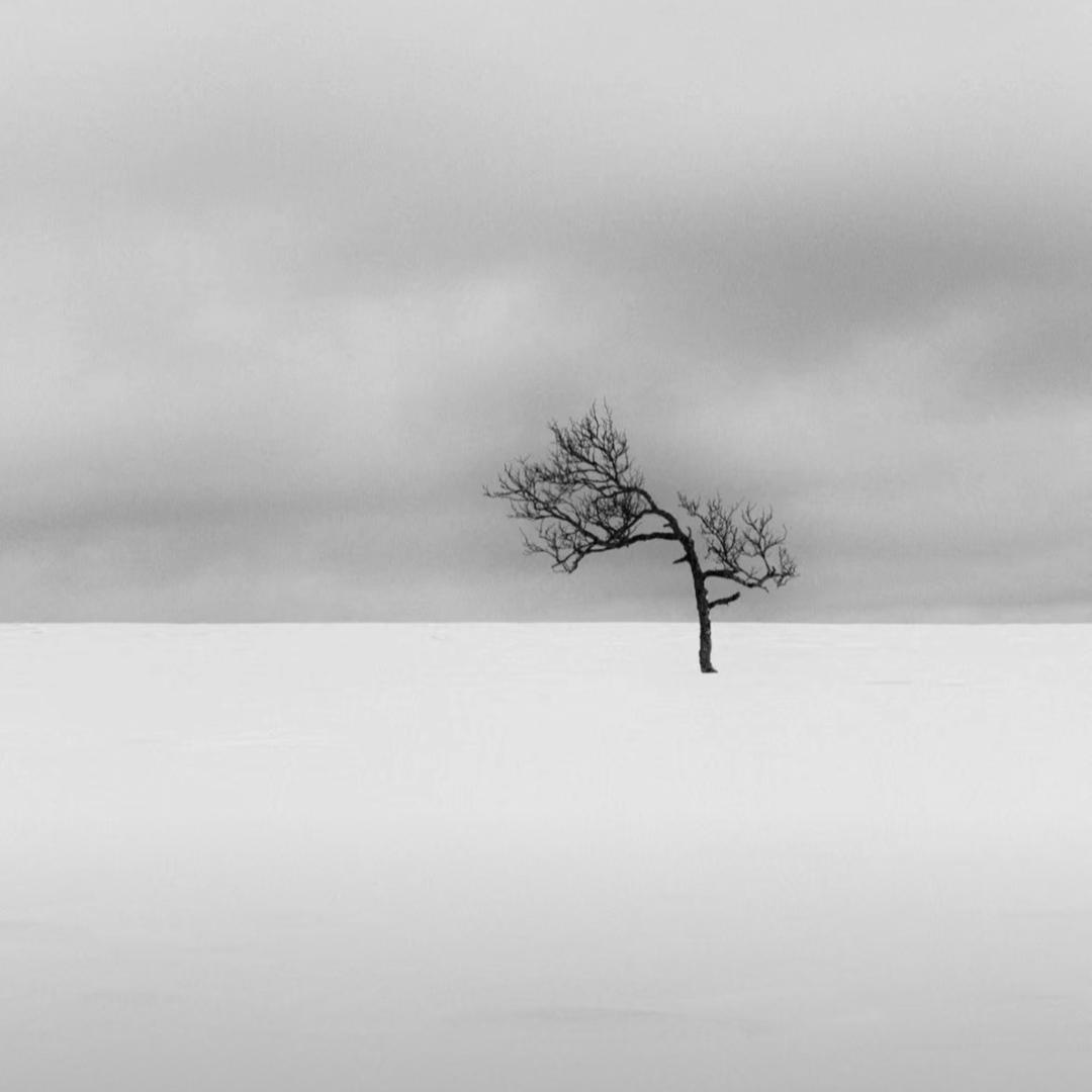 Lune