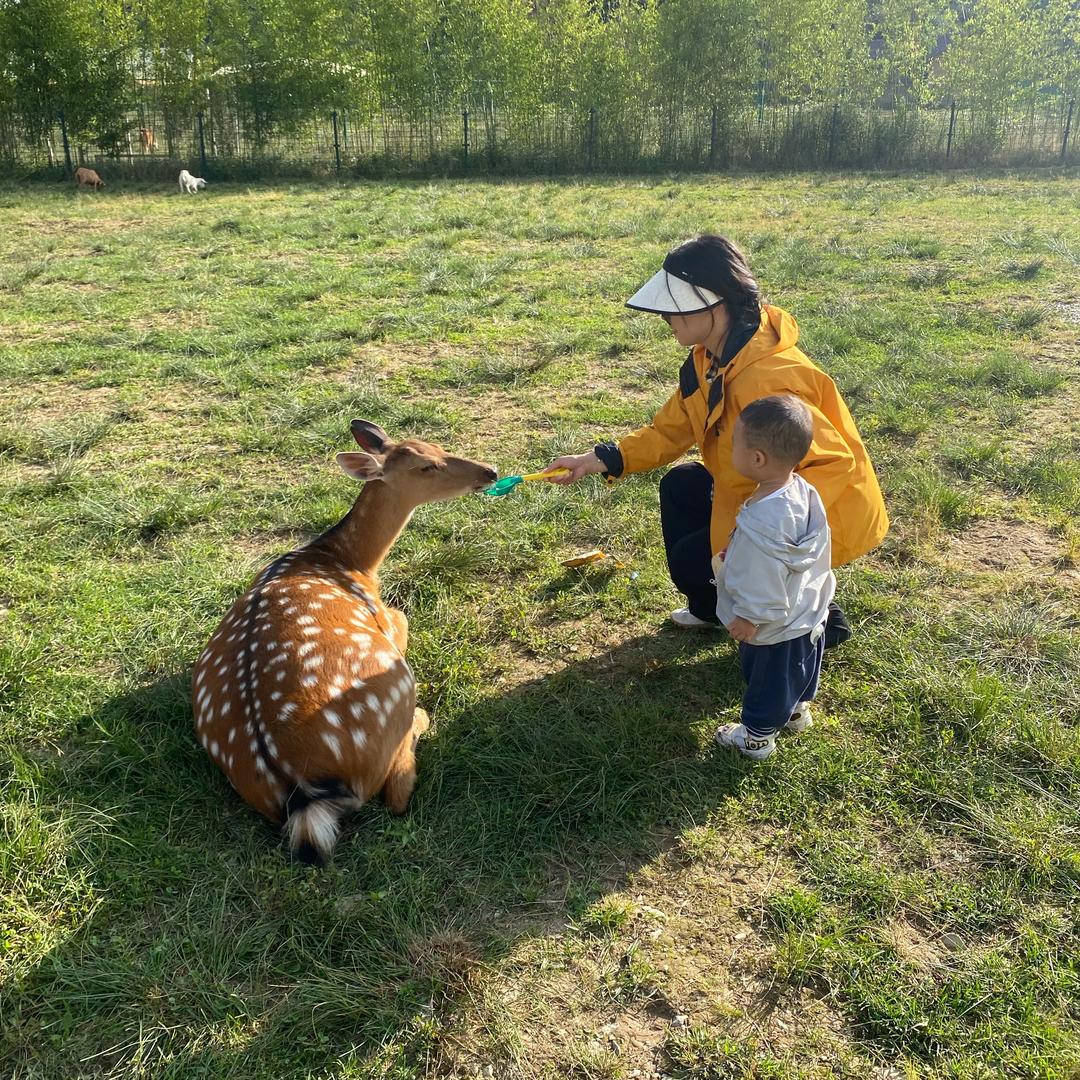 云飞同学带娃记