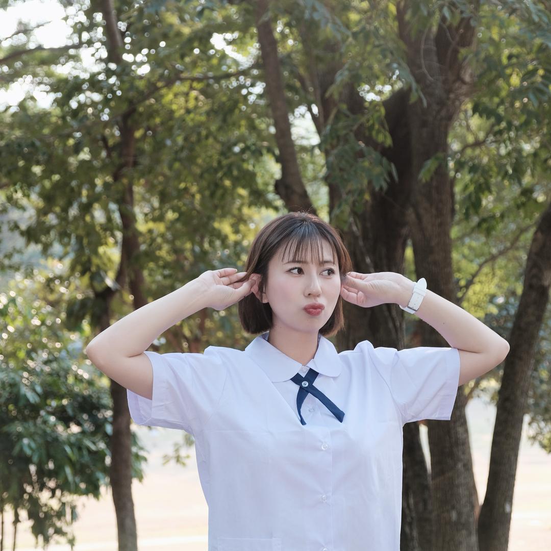 蔡森碟