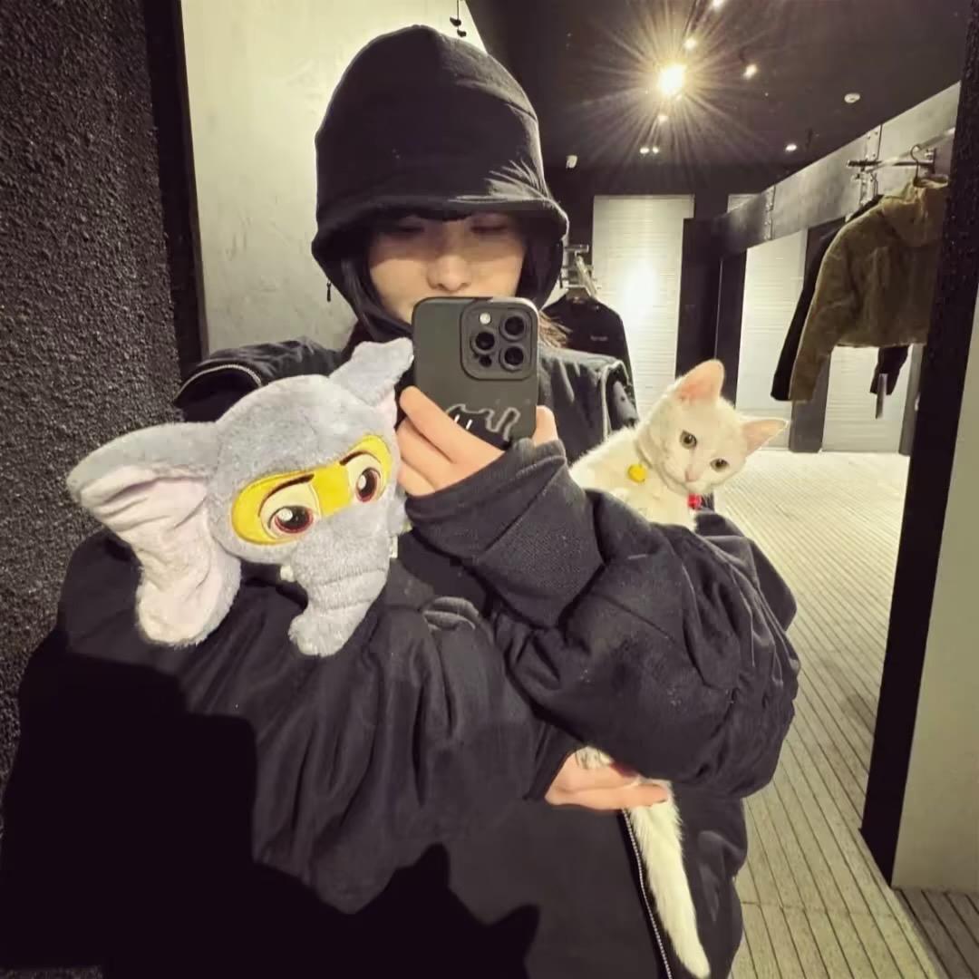 是美不是梅🩸、