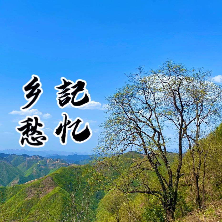 乡愁記忆