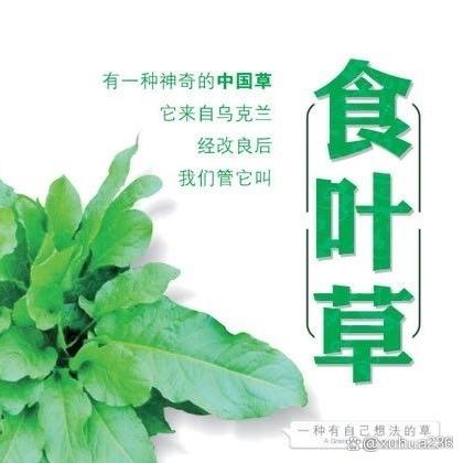 华夏益食🔥食叶草零食源厂供应链