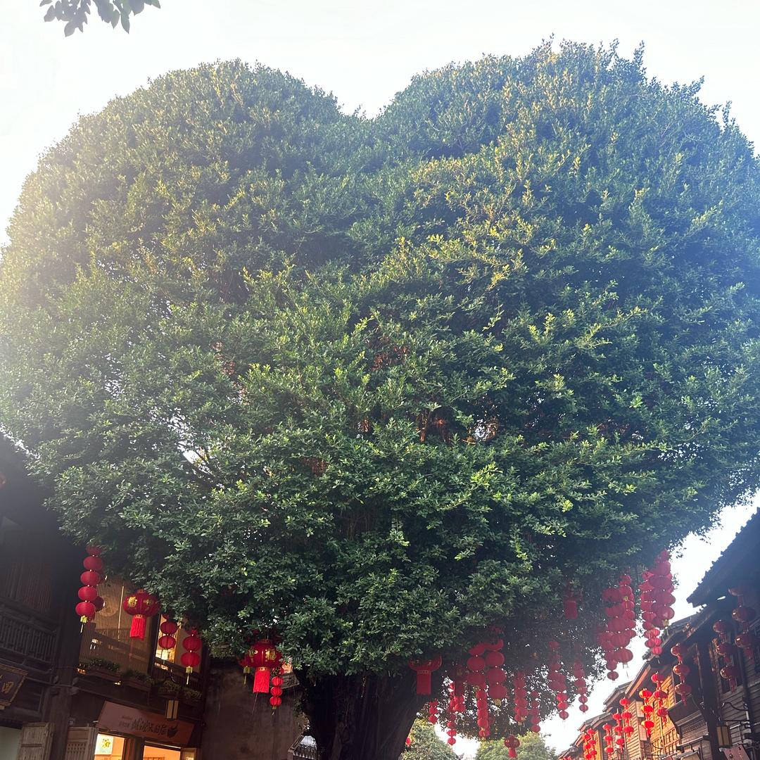 错把大便当黄金