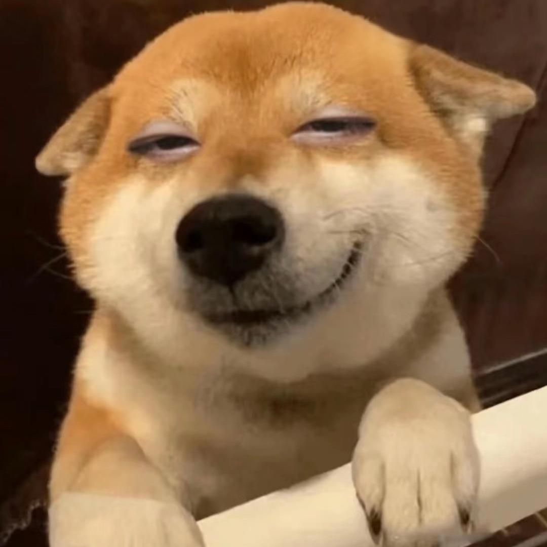 @珊