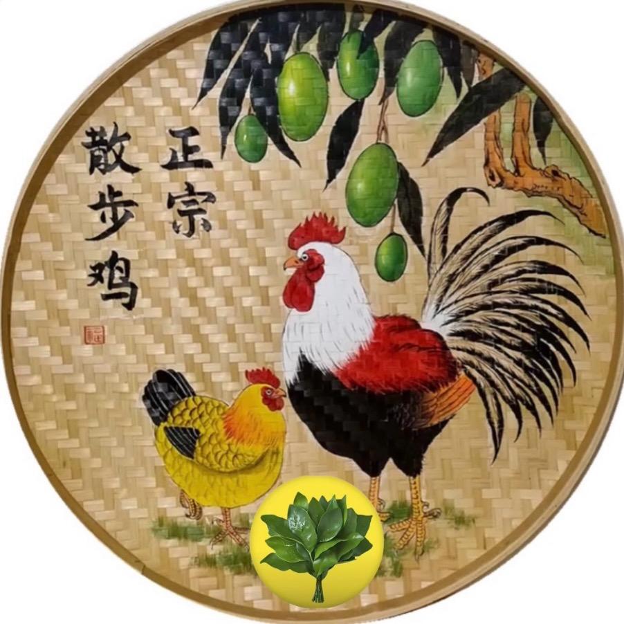 四季滋养鸡煲(米饭青菜免费吃)