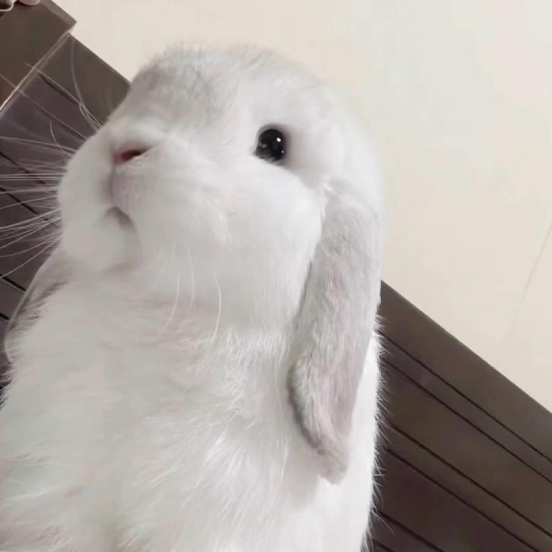 失而