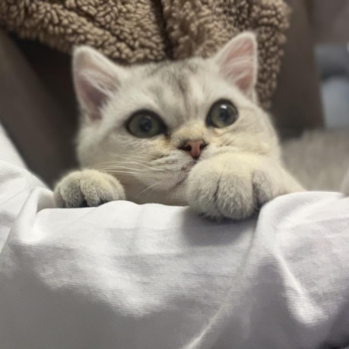 嗯哼