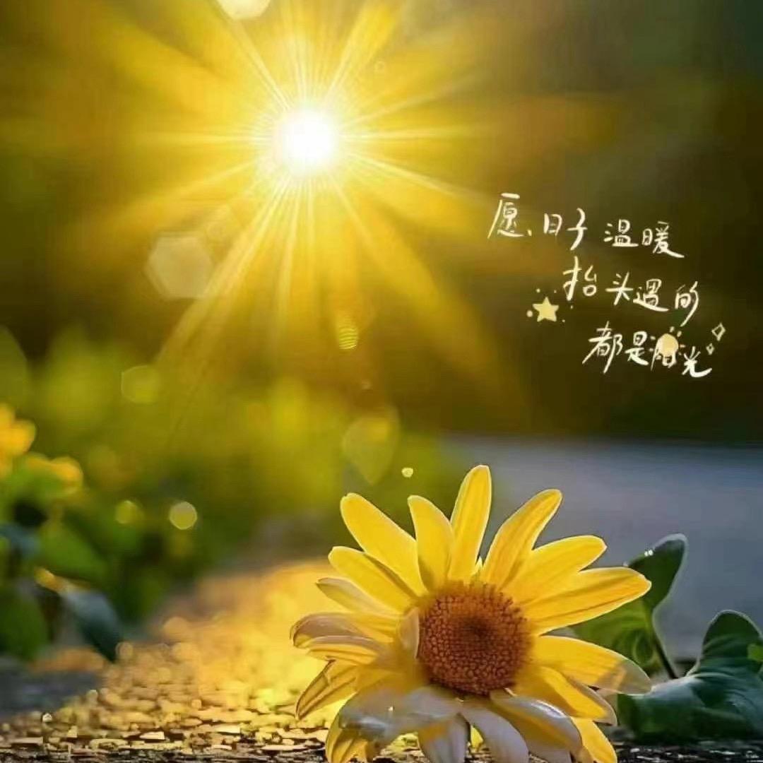 不期而遇