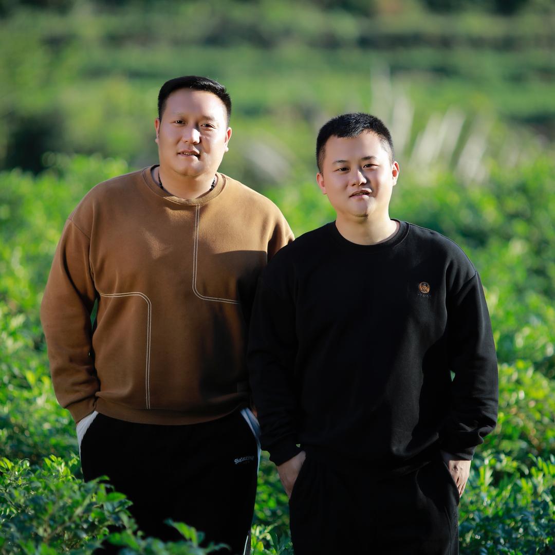 大树小树