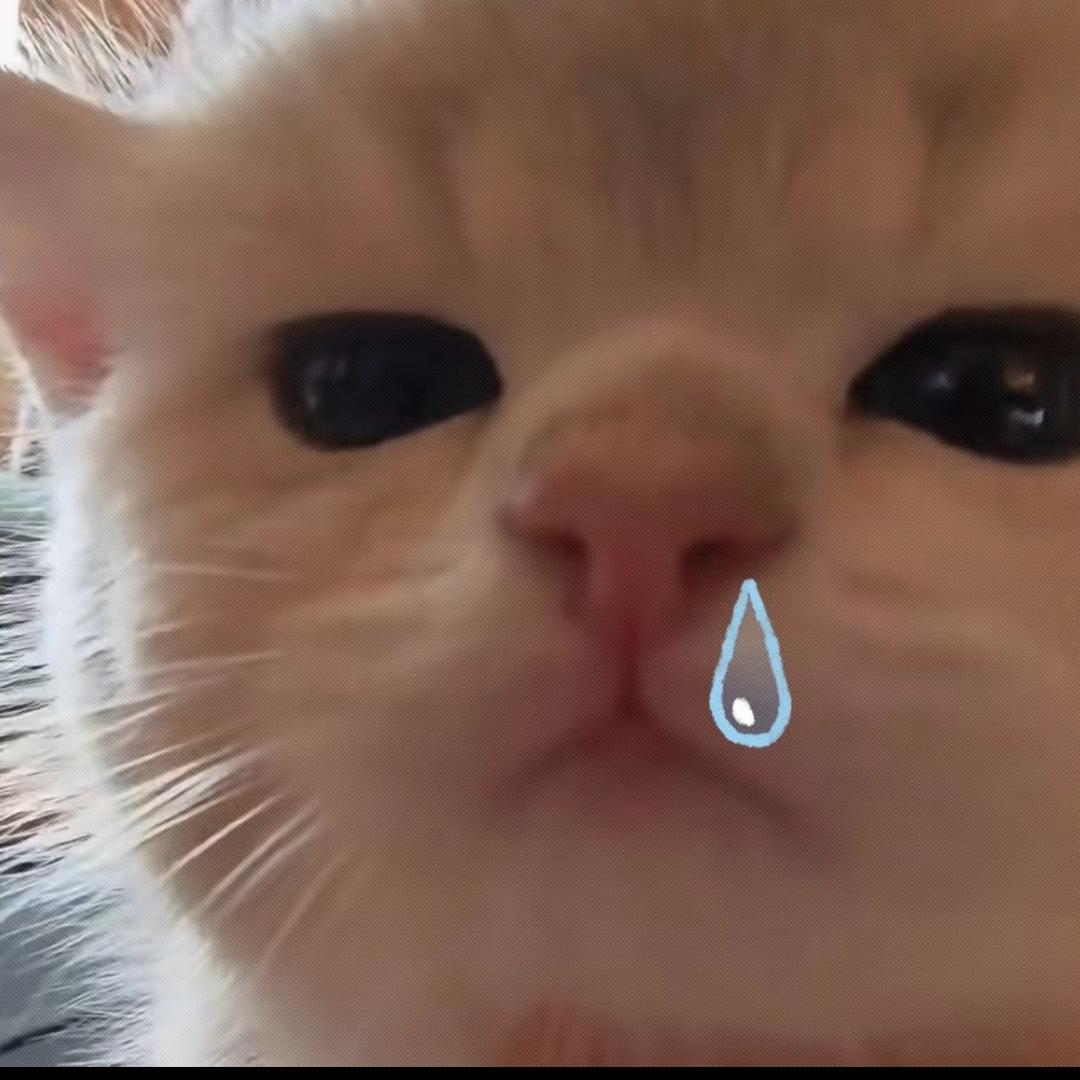三亚甜心宝贝