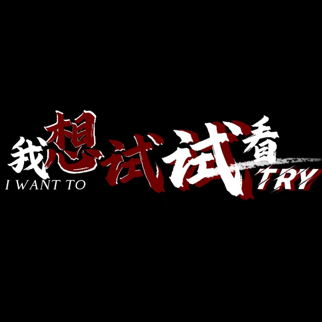 我想试试看