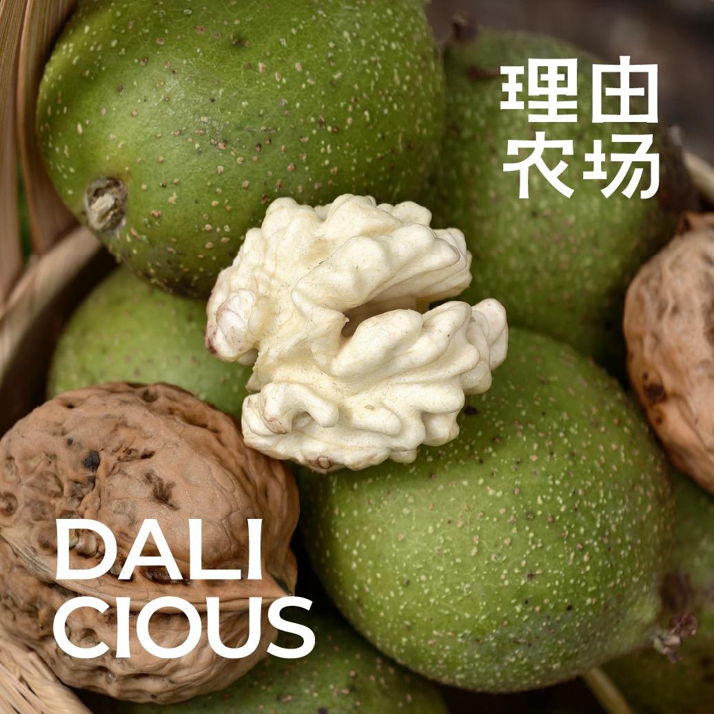 理由农场古树鲜核桃