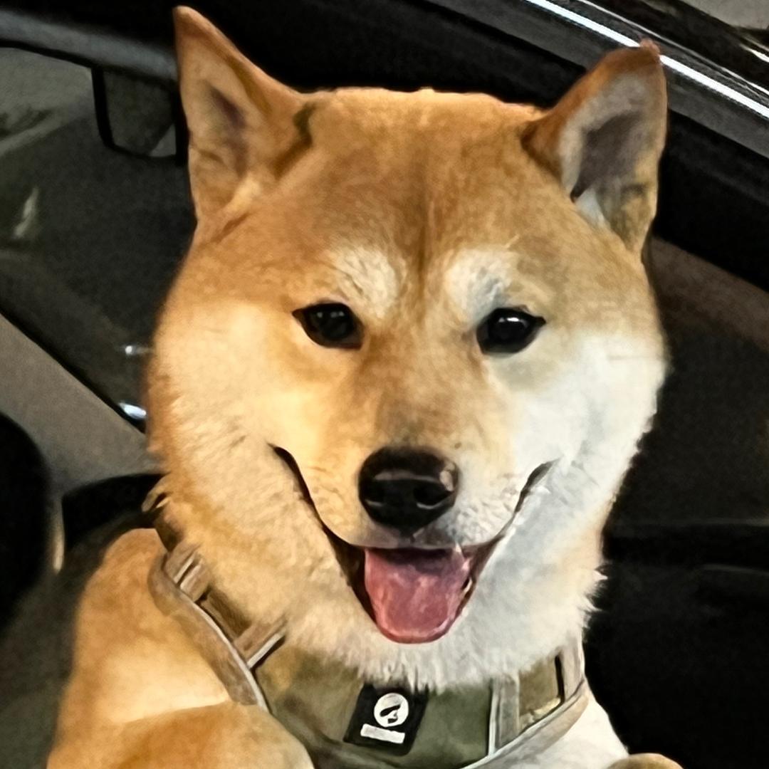 胖虎呼噜噜