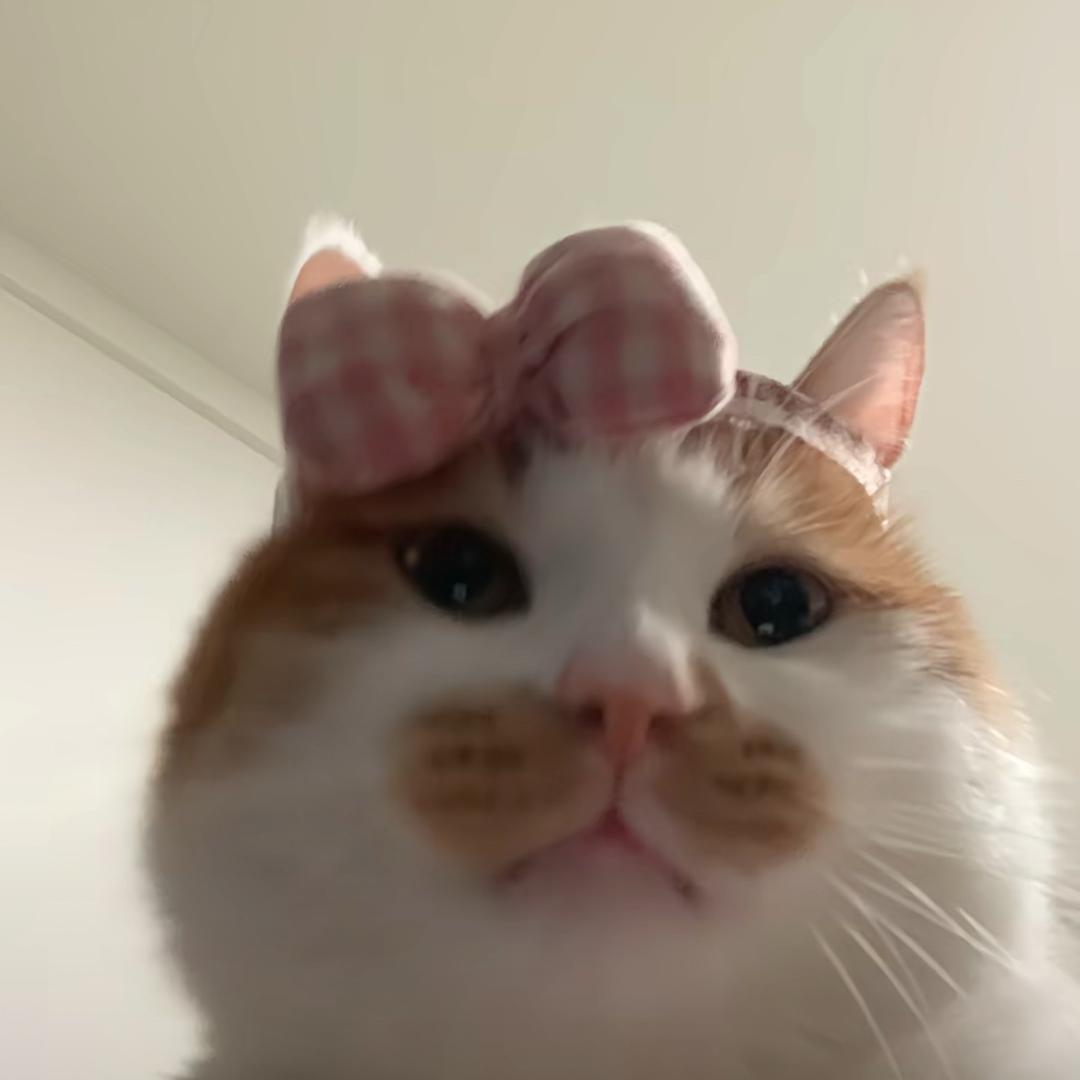 猜猜猜不猜