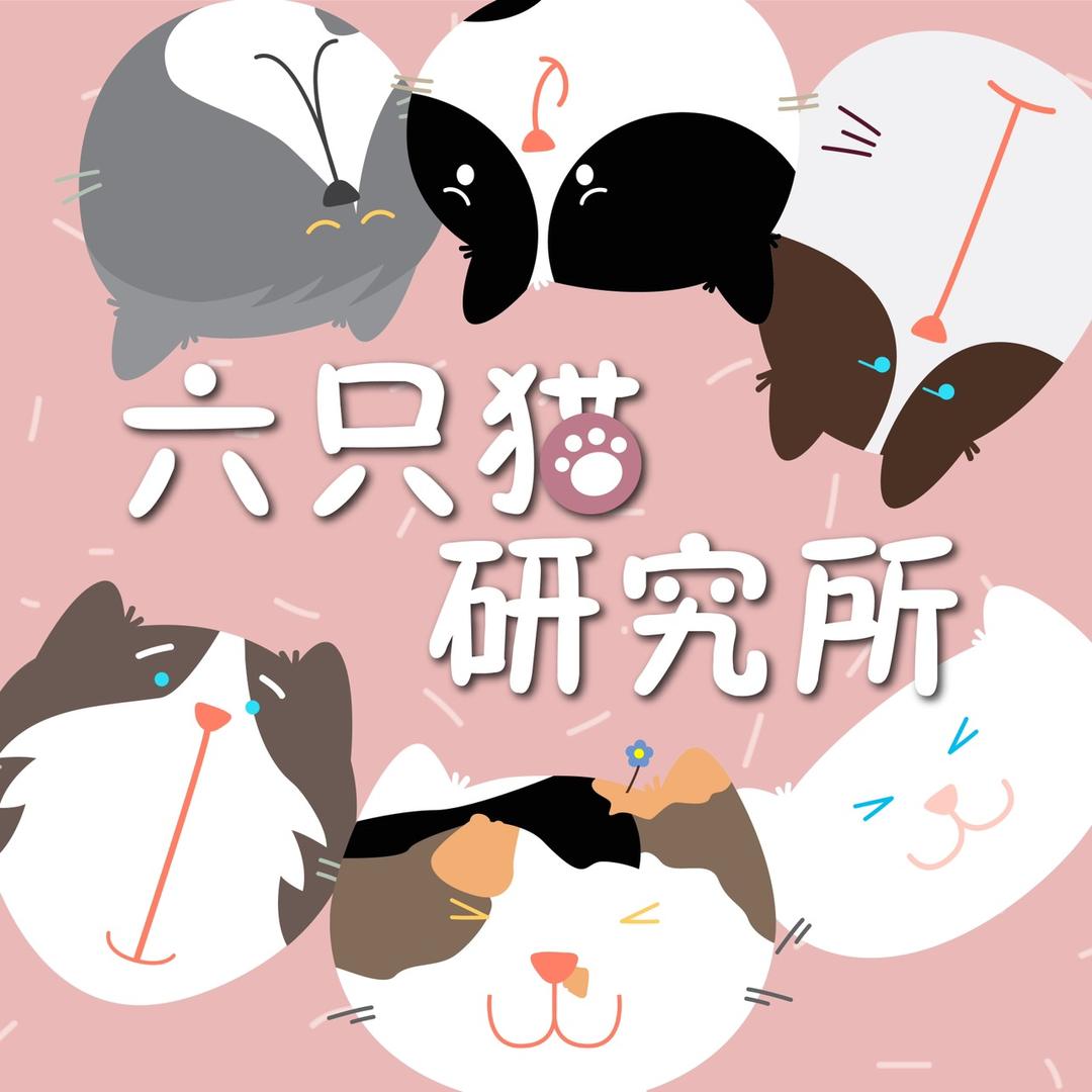 六只猫好食研究所