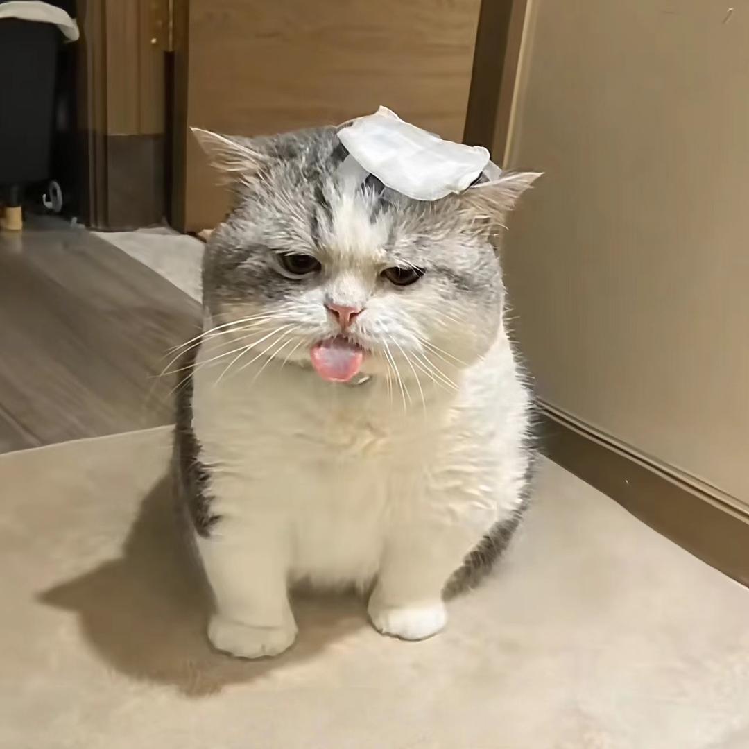辞别两清_