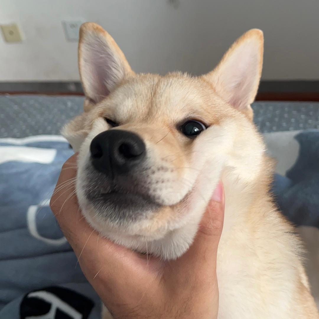 ОТ сердцу