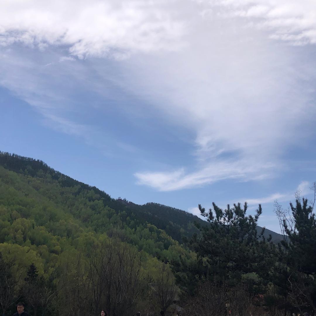 火珊石为您服务