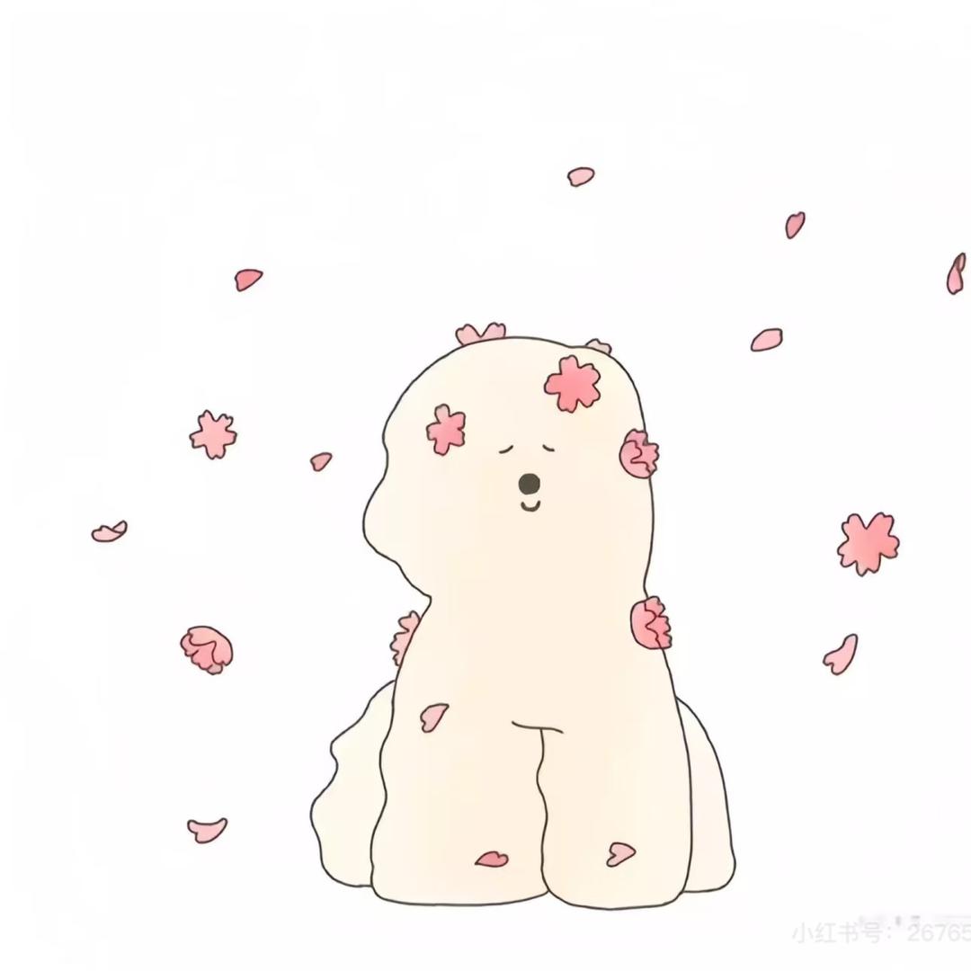 陈舒宇