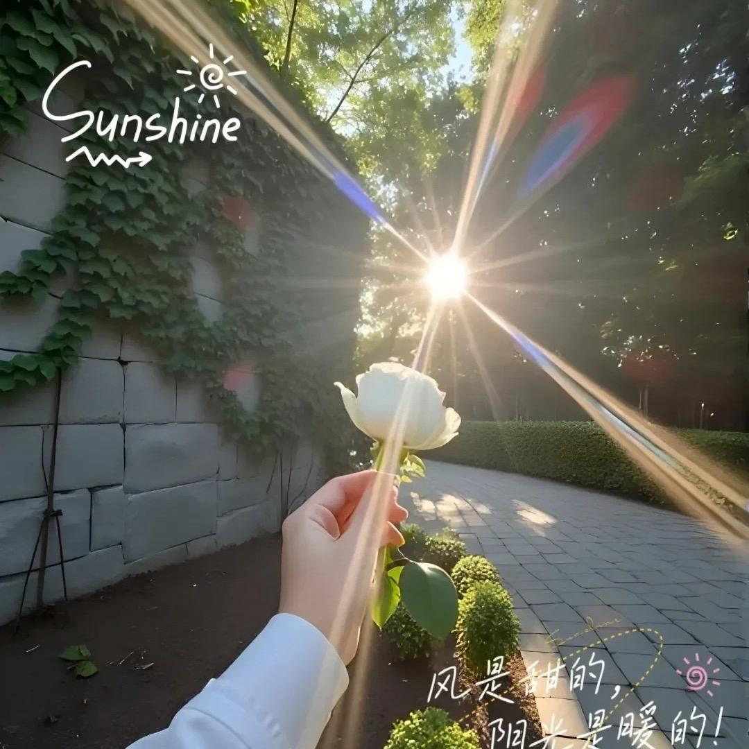 金穗🌾