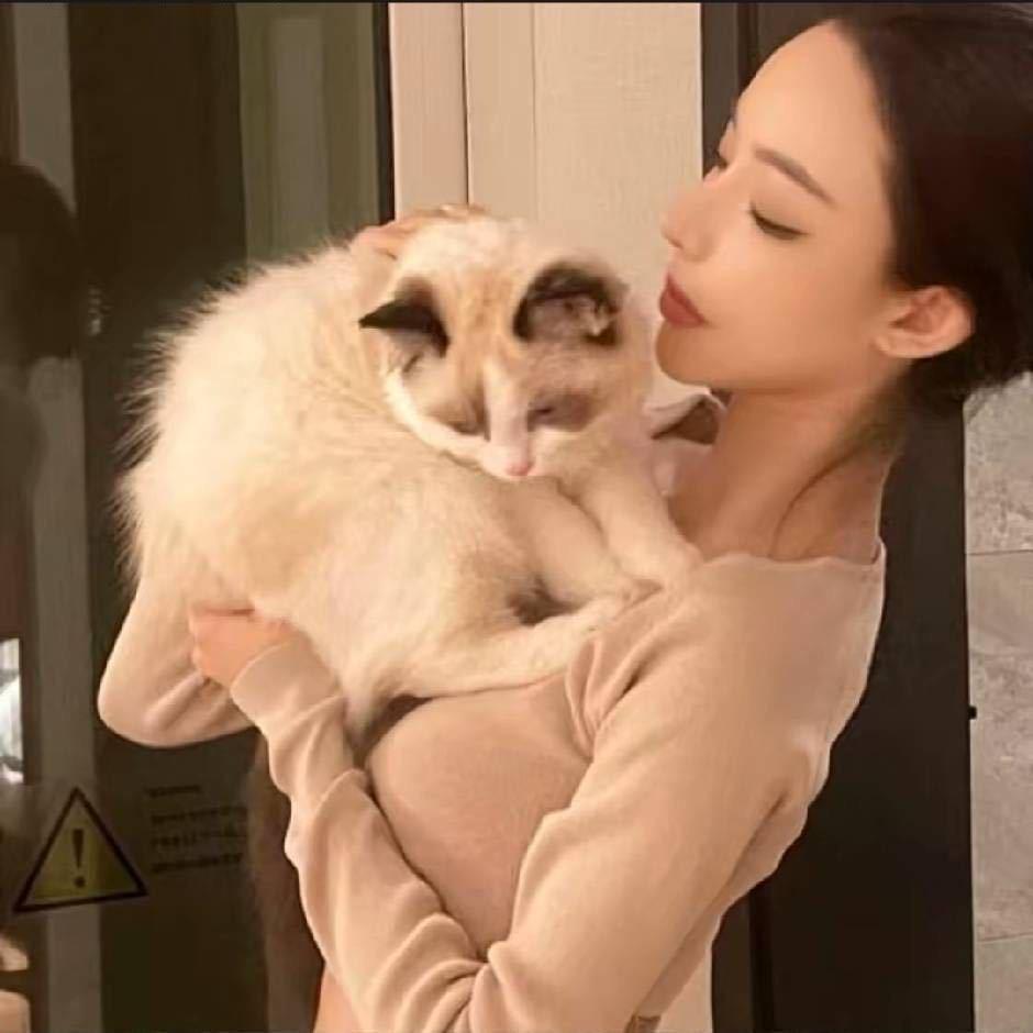 好来钰.