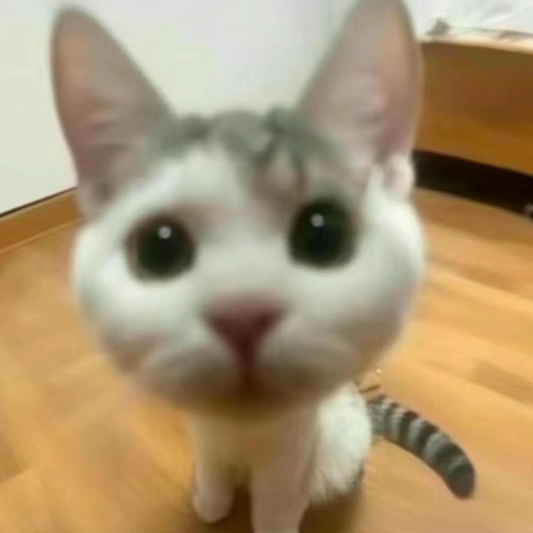 程碗饭