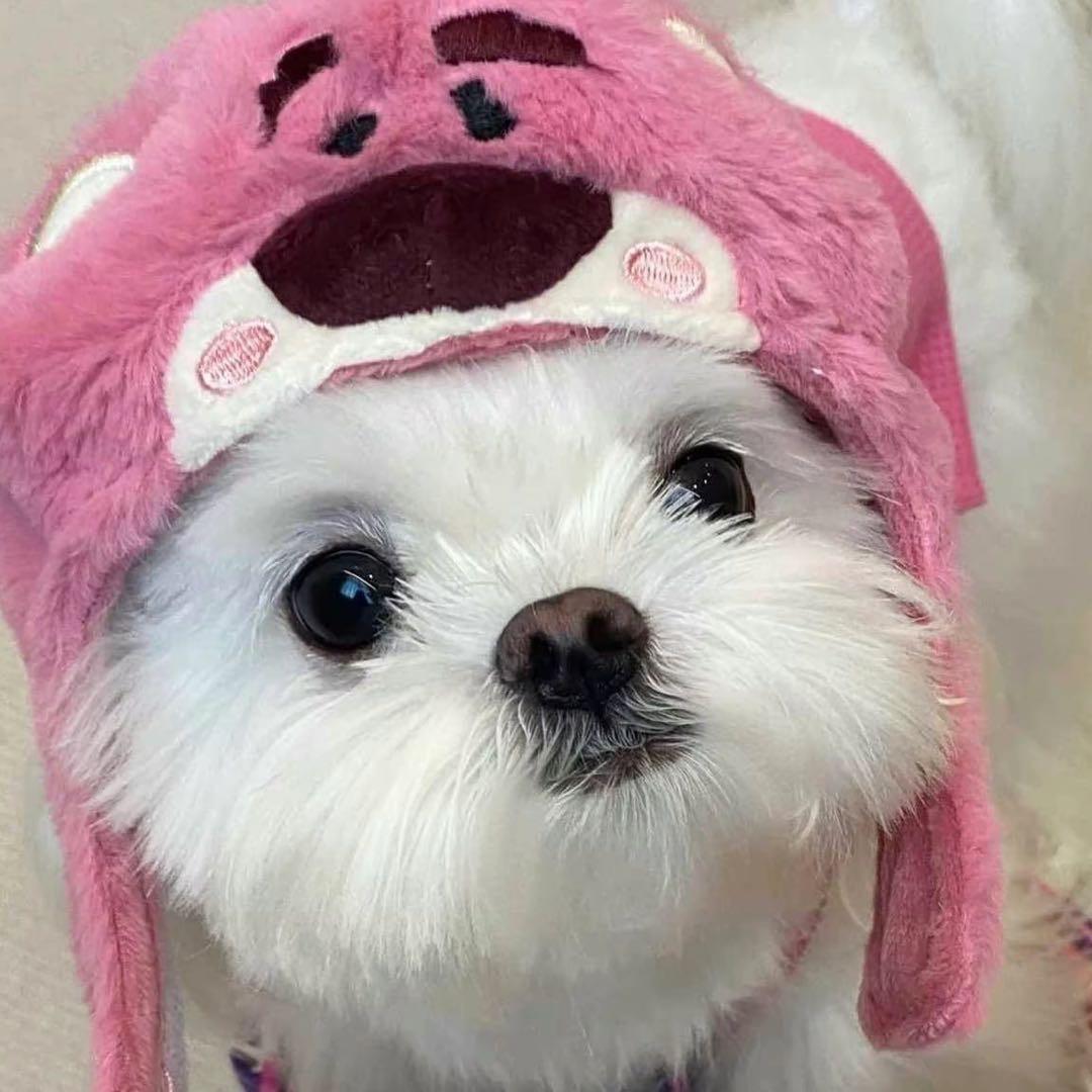 重生之我不当水泥工