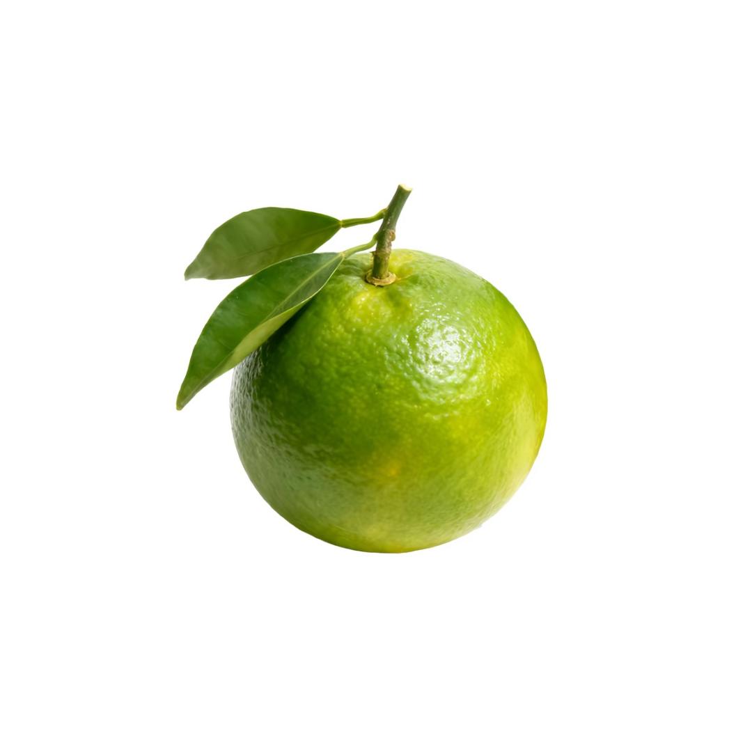 nmito