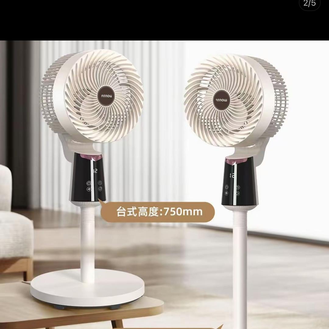 菲特洛循环扇
