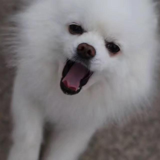 云淡风轻飘