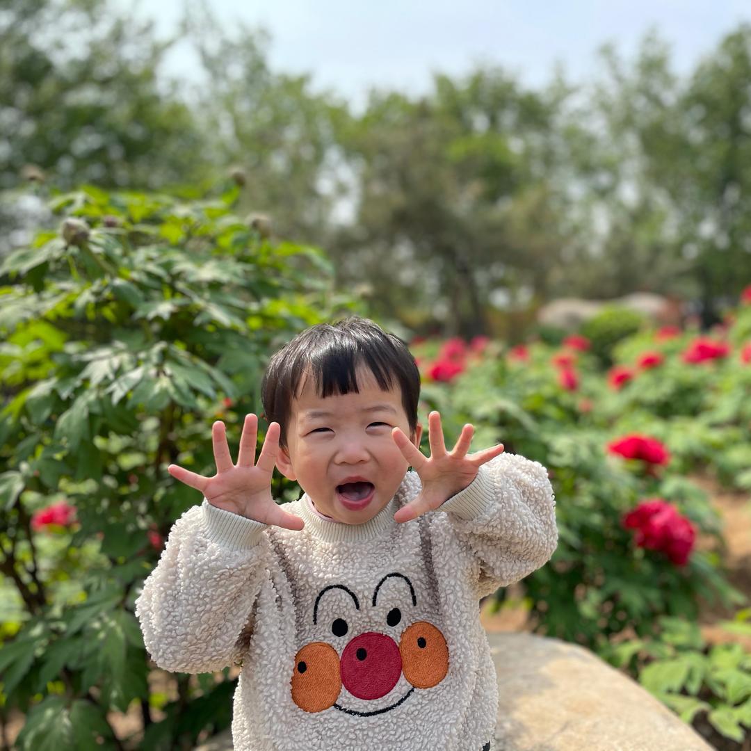 小芒果6688