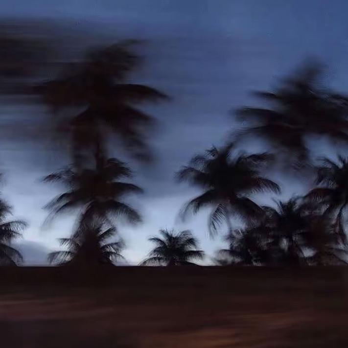 专注分享二十四年