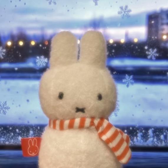 奇葩的人和猎奇的事远离我