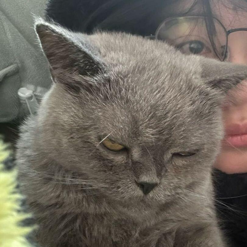 八百怎么总这样