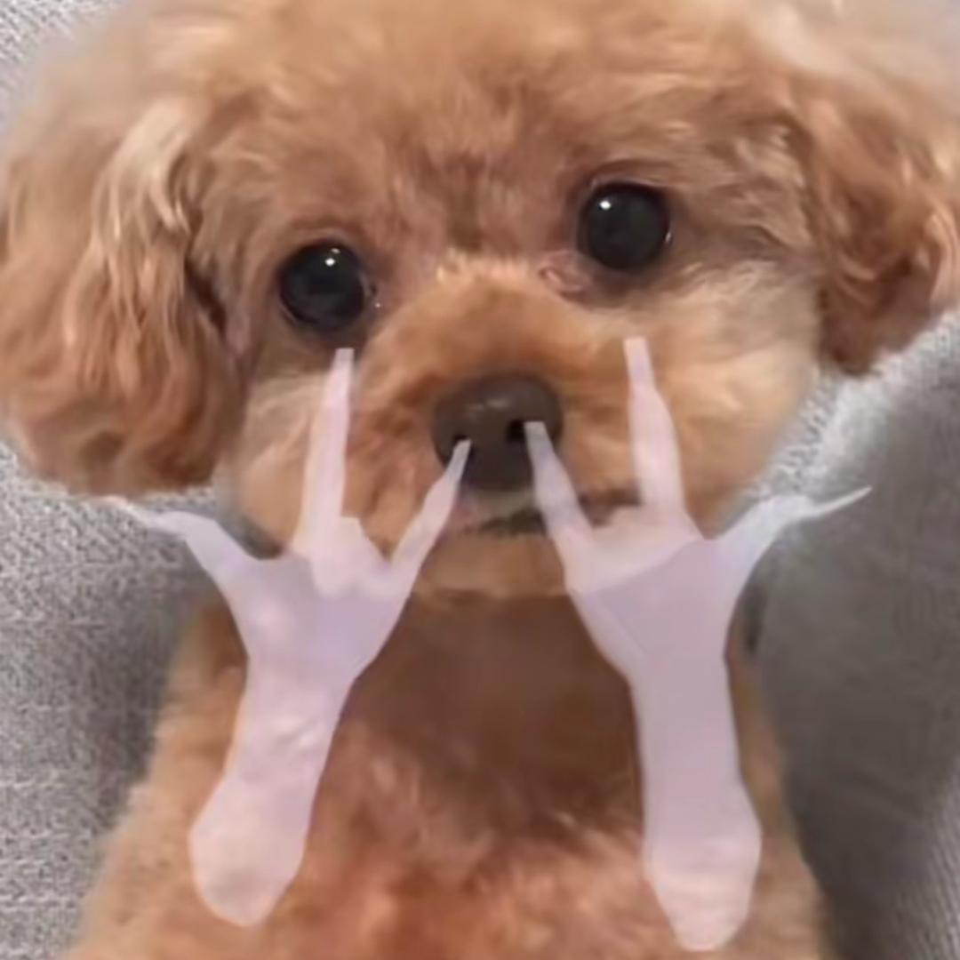 沸羊羊骑士