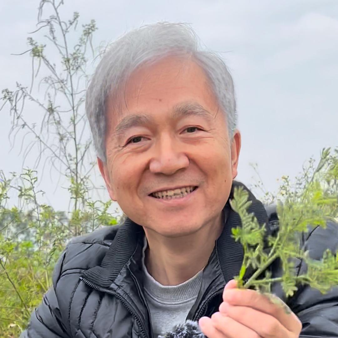 贾老爱生活