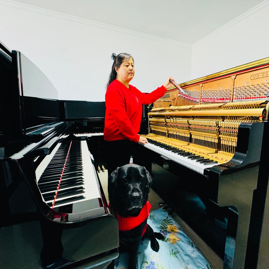 陈燕🎹和她的导盲犬