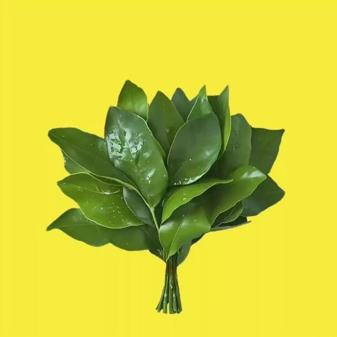 讨厌有钱人（除非给我钱的）