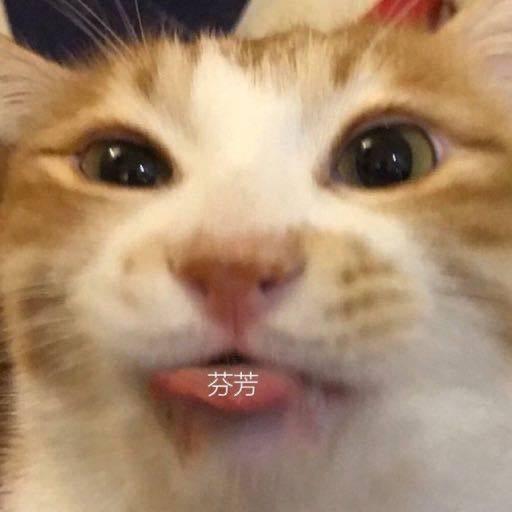 小李不紧张
